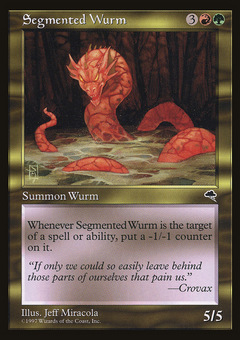 Segmented Wurm